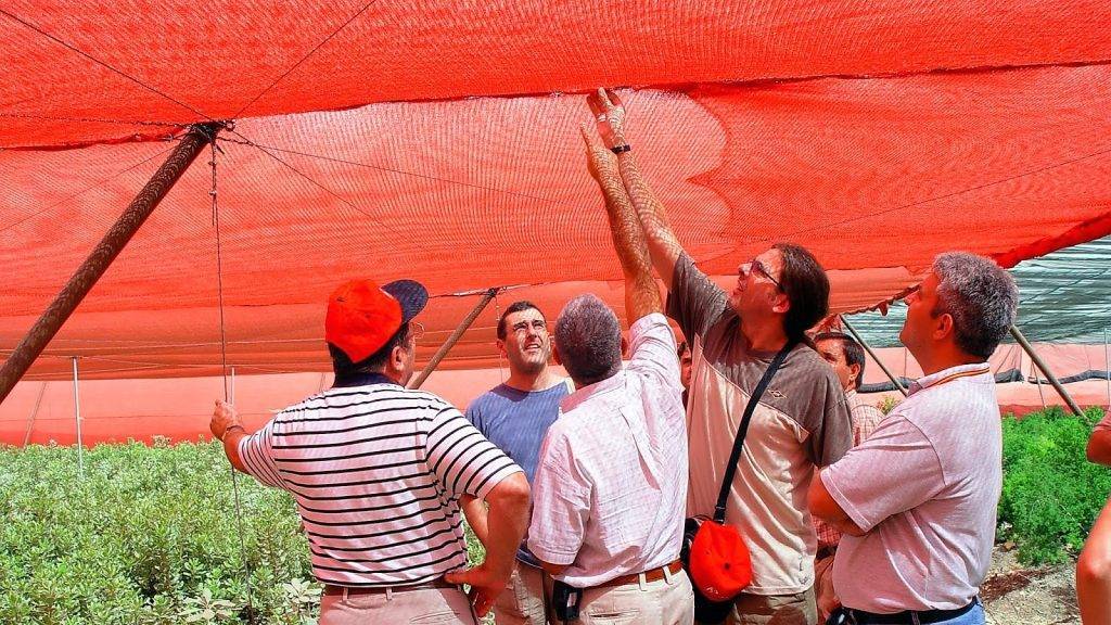 mallas colores|mallas Arrigoni|malla invernadero